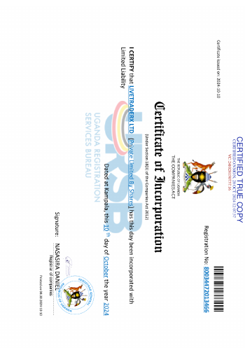 Certificate of Incorporation — LivePay